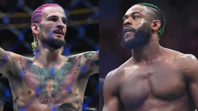 Aljamain Sterling Sean O'Malley UFC